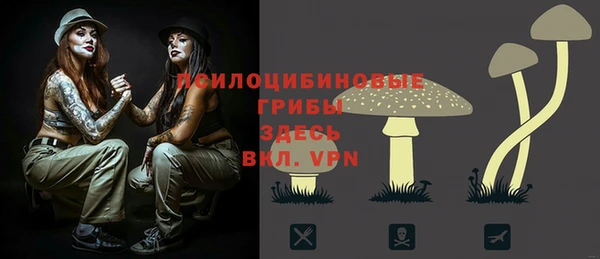 кокс Сосновый Бор