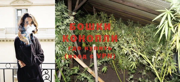 гидропоника Иннополис