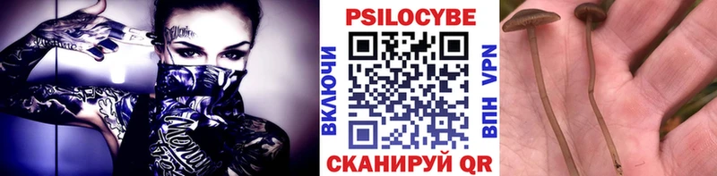 Галлюциногенные грибы Psilocybine cubensis  Спас-Деменск 