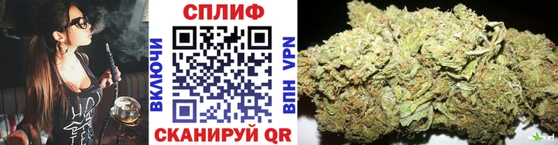 Бошки Шишки SATIVA & INDICA  где найти наркотики  Спас-Деменск 